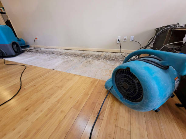 Reliable Basement Flood Cleanup contractor in McComb, OH by Hirex Water Damage