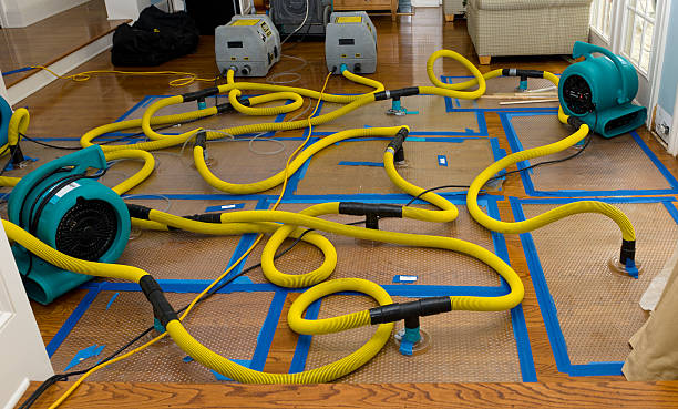 Professional Basement Flood Cleanup technician working in McComb, OH